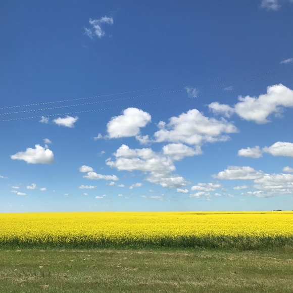 Meet your Posher, J. - Picture 1 of 1